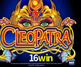 16win Curitiba - Live Status
